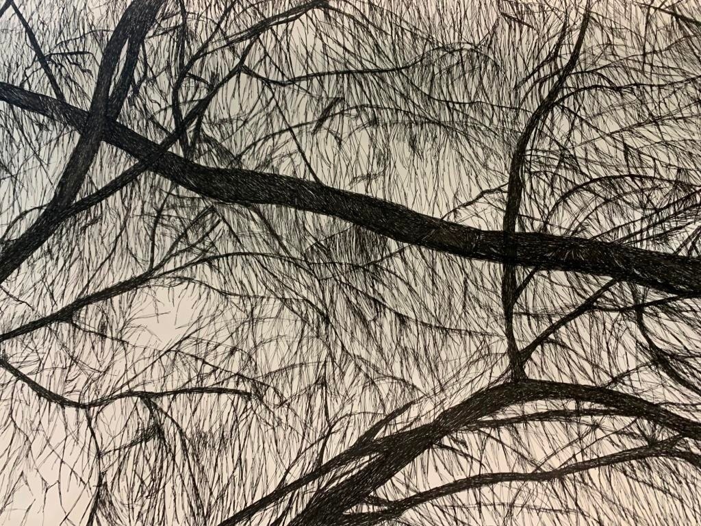 Exposição José Paiva