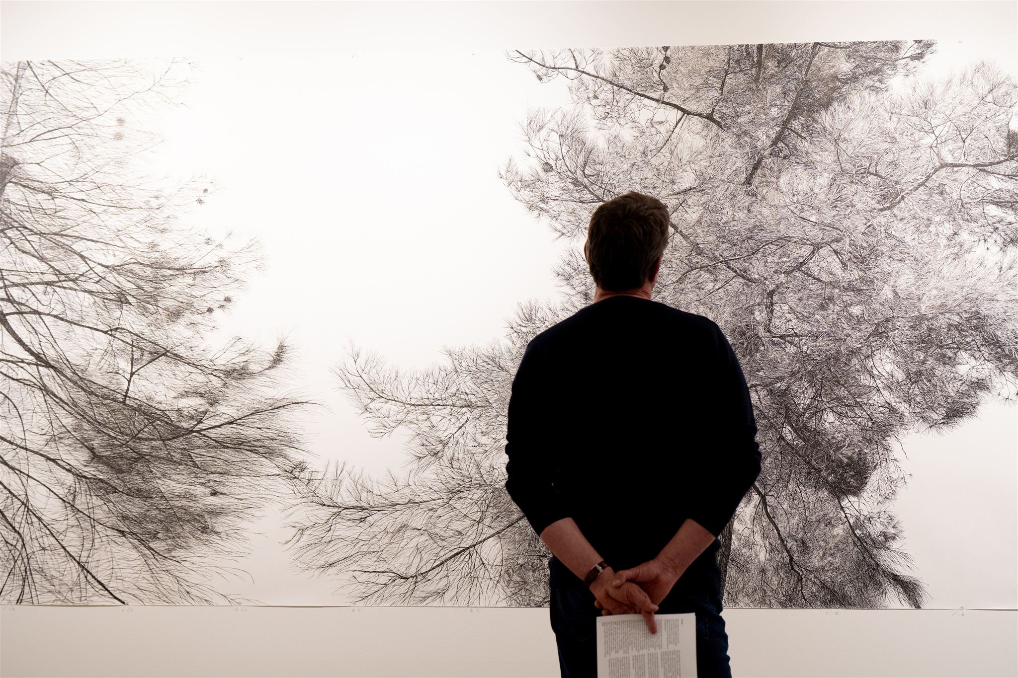 Exposição José Paiva