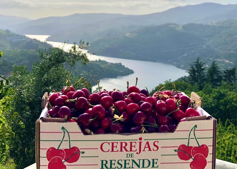 Festival da Cereja